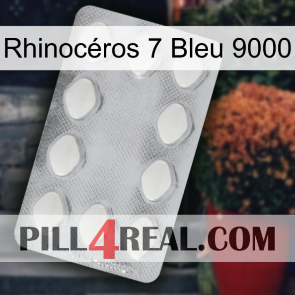 Rhinocéros 7 Bleu 9000 16.jpg